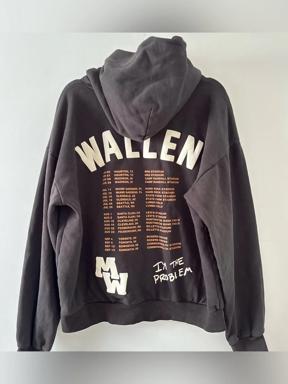 Morgan Wallen I’m The Problem Tour Hoodie Official Merch Sweatshirt Graphic - Picture 4 of 5